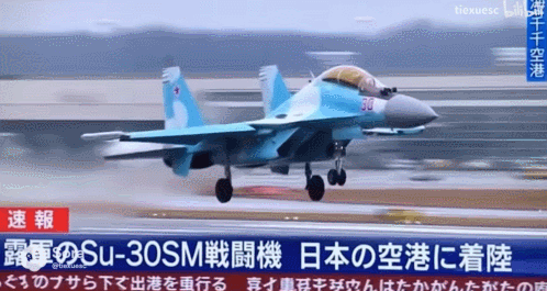 俄罗斯飞行员驾驶苏-30叛逃日本<strong></p>
<p>数字货币查询</strong>？到底是怎么回事？