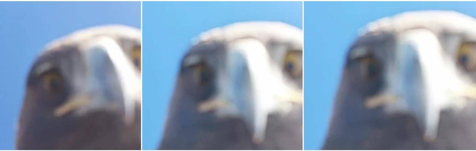 土耳其老鹰空中抓走无人机<strong></p>
<p>数字货币矿机</strong>，带上山顶“玩自拍”