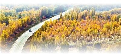 坚持“双碳”引领<strong></p>
<p>币安数字货币</strong>，推动全面绿色转型（稳中求进、提质增效 实现“十五五”良好开局）